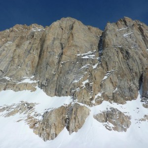 Mooses Tooth