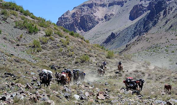 Aconcagua vacas approach day 1