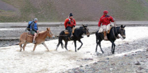 aconcagua river crossing