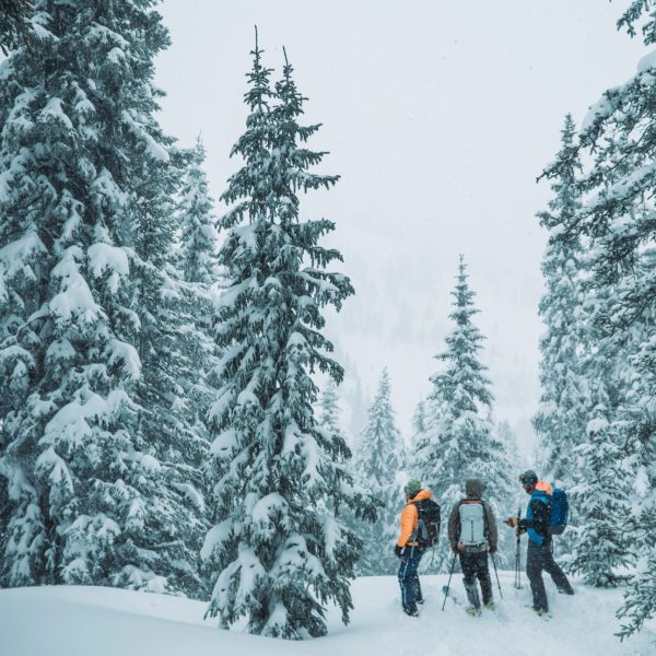 backcountry ski hut trips