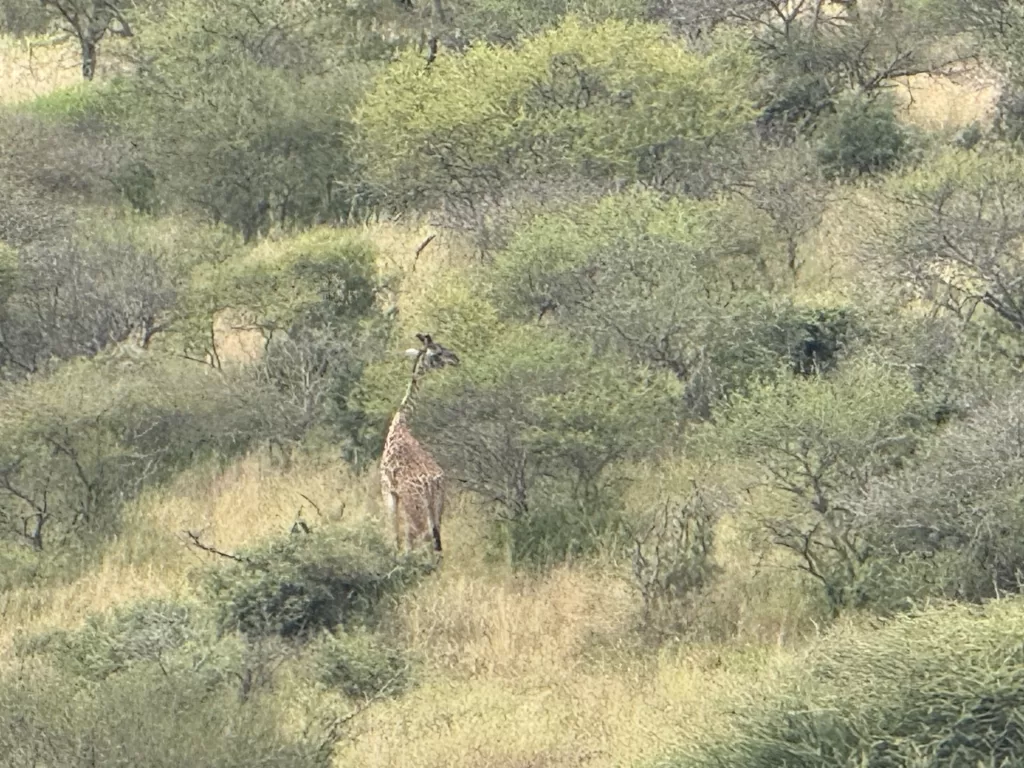 Catching up with some of the locals